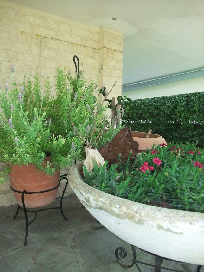 A Majestic Elegant House With A Garden Daire Peraía Dış mekan fotoğraf